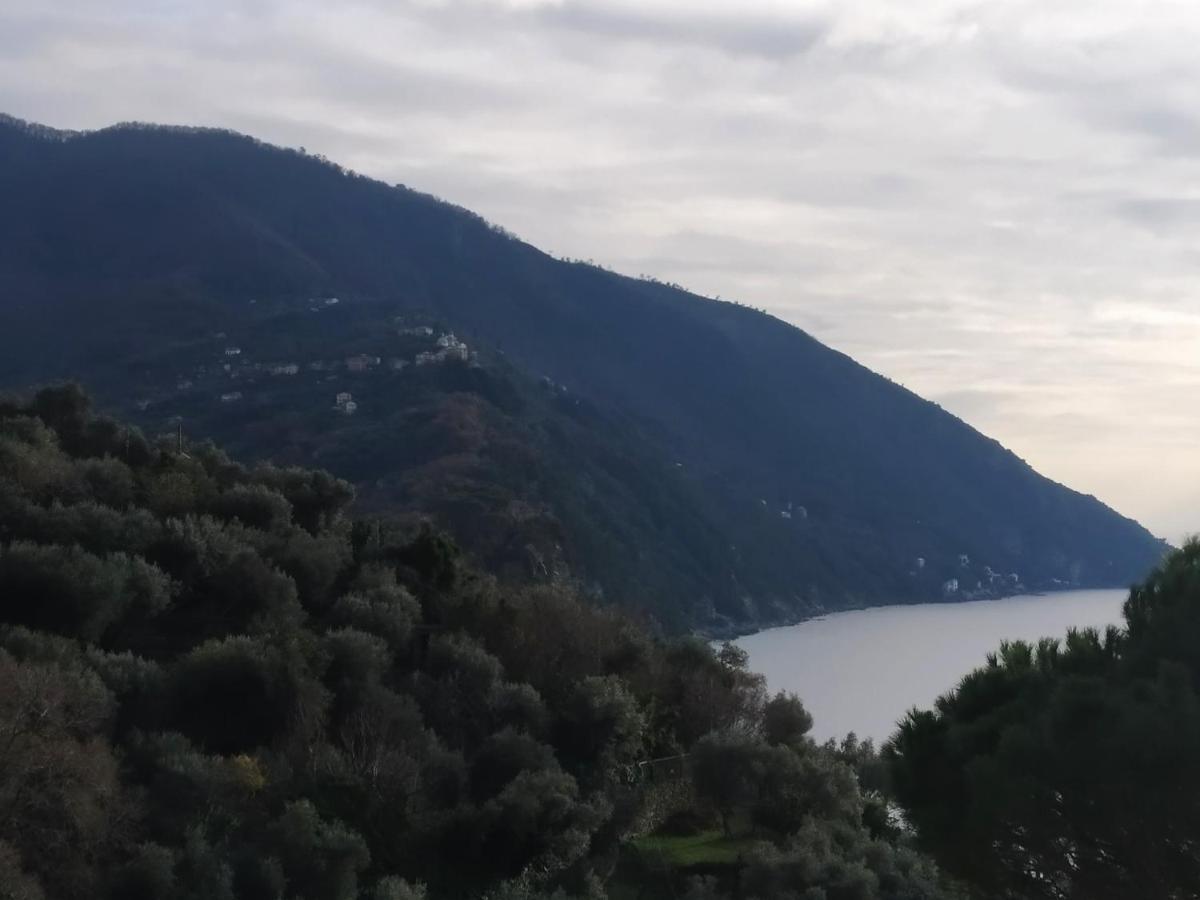 Villa San Prospero Camogli Exterior photo